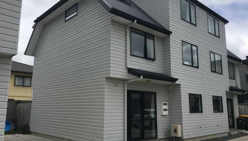 24c Hogan Street, Hamilton East