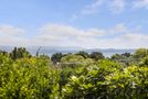 12 Haden Place, Omokoroa, Western Bay Of Plenty, Bay of Plenty