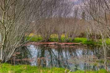 358 Hurunui Bluff Road, Hurunui