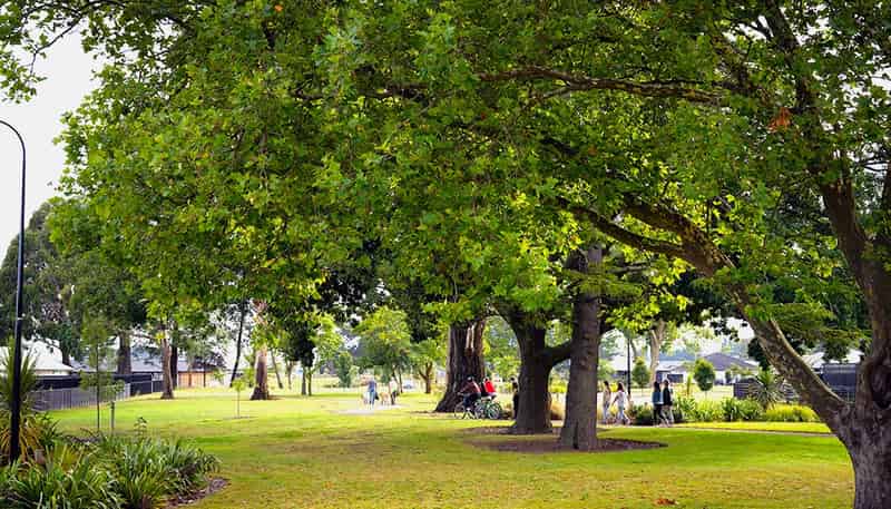 17 Wilkin Road, Woodend