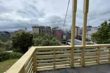 18A Clifton Terrace (Downstairs), Kelburn