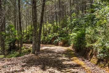 264 Taylor Road, Taipa