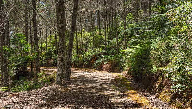 264 Taylor Road, Taipa