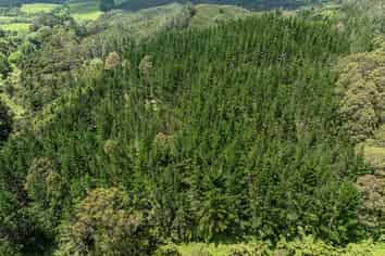 264 Taylor Road, Taipa