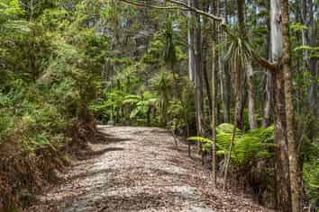 264 Taylor Road, Taipa