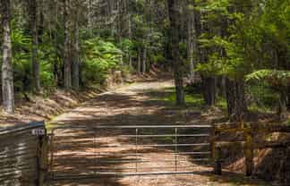 264 Taylor Road, Taipa