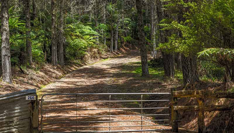 264 Taylor Road, Taipa