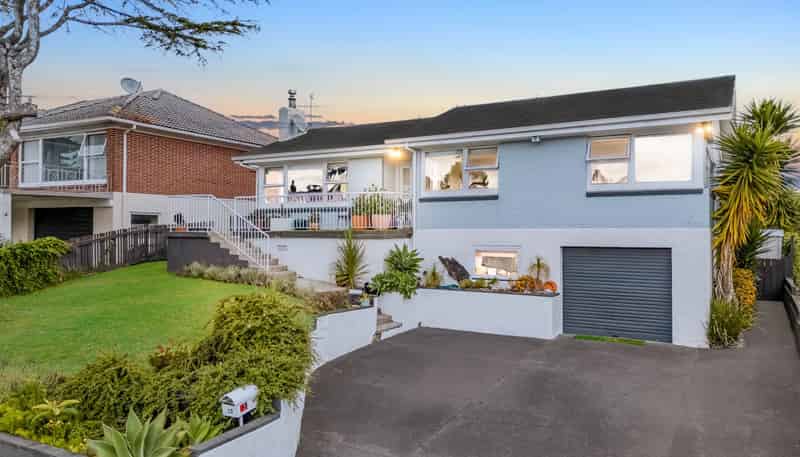 13 David Avenue, Hillpark