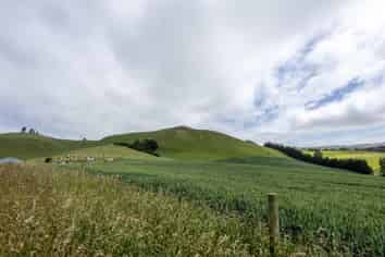 Otago - Address withheld