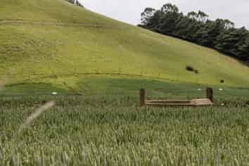 Otago - Address withheld