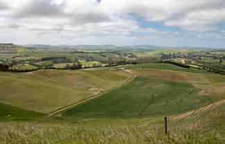 Otago - Address withheld