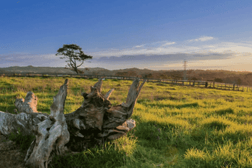 231 Nixon Road, Taupaki