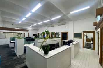 Iconic Executive Napier Office