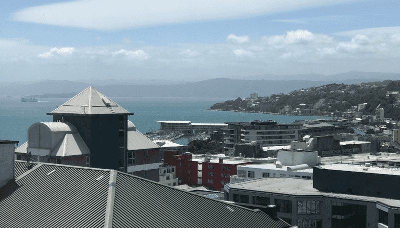 1701A/111 Dixon Street, Te Aro