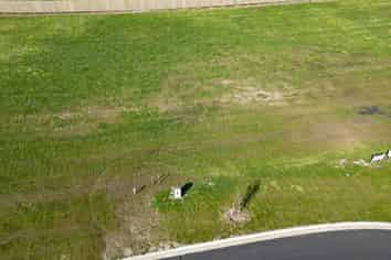 20 Kahikatea Drive, East Gore