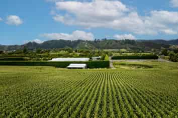 1200 State Highway 1, Manakau