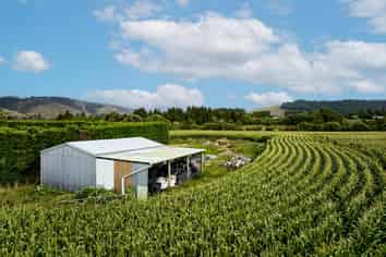 1200 State Highway 1, Manakau