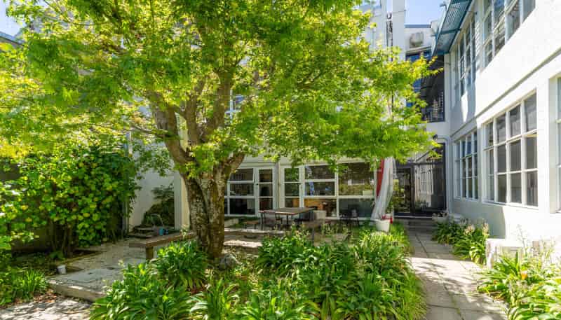 288 Trafalgar Street, Nelson