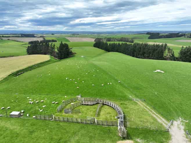 20 Carruthers Road, Ashley Downs