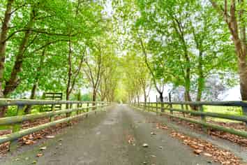 962 State Highway 1 South, Manakau