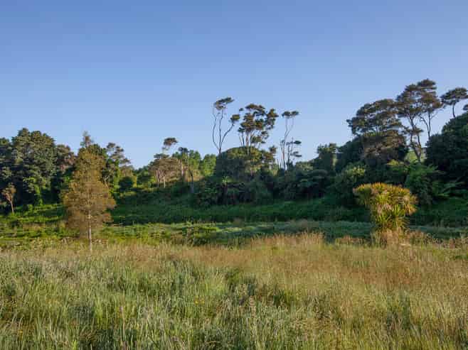 1516B Gordonton Road, TAUPIRI