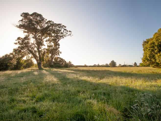 1516B Gordonton Road, TAUPIRI