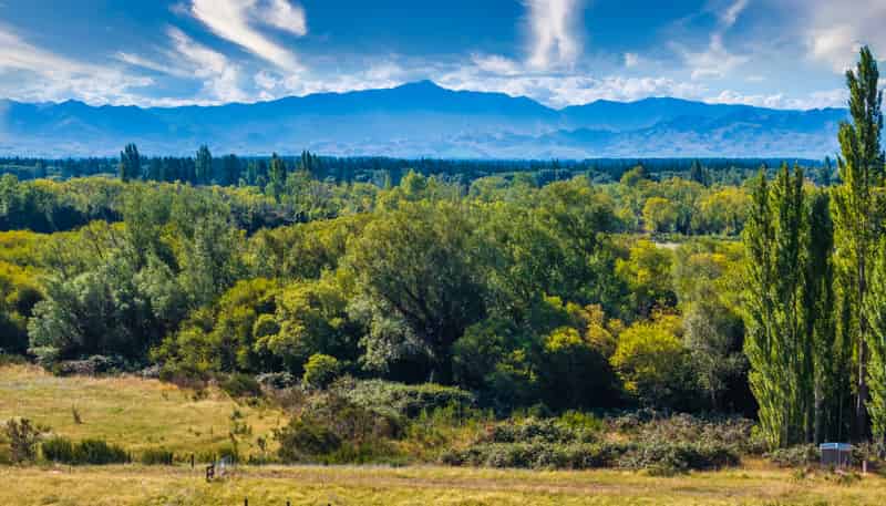 658 Hurunui Bluff Road, Hurunui