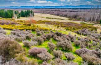 358 Hurunui Bluff Road, Hurunui