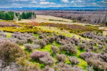 358 Hurunui Bluff Road, Hurunui