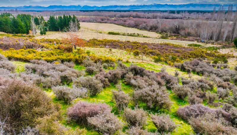 358 Hurunui Bluff Road, Hurunui
