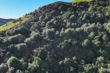  Hole and Corner Road, Ferndale