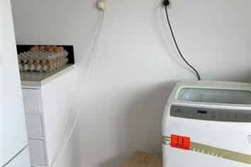 108 Ranfurly Street, Dargaville