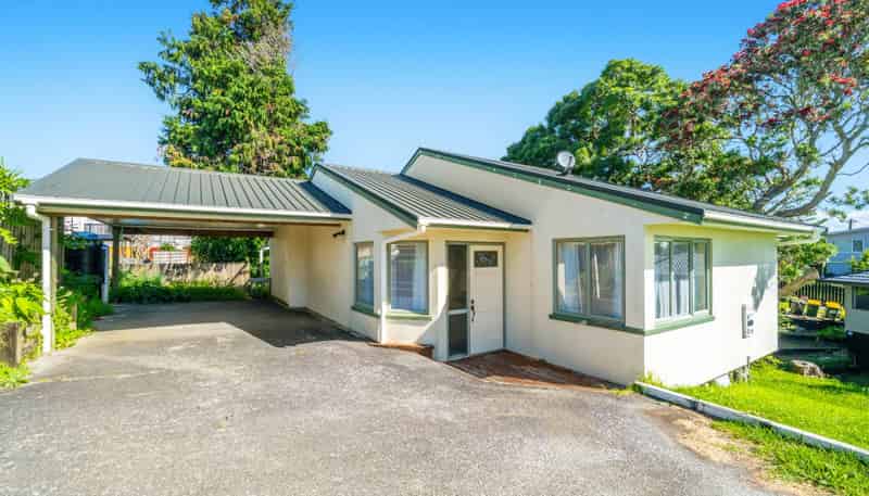 486a Hillsborough Road, Mount Roskill