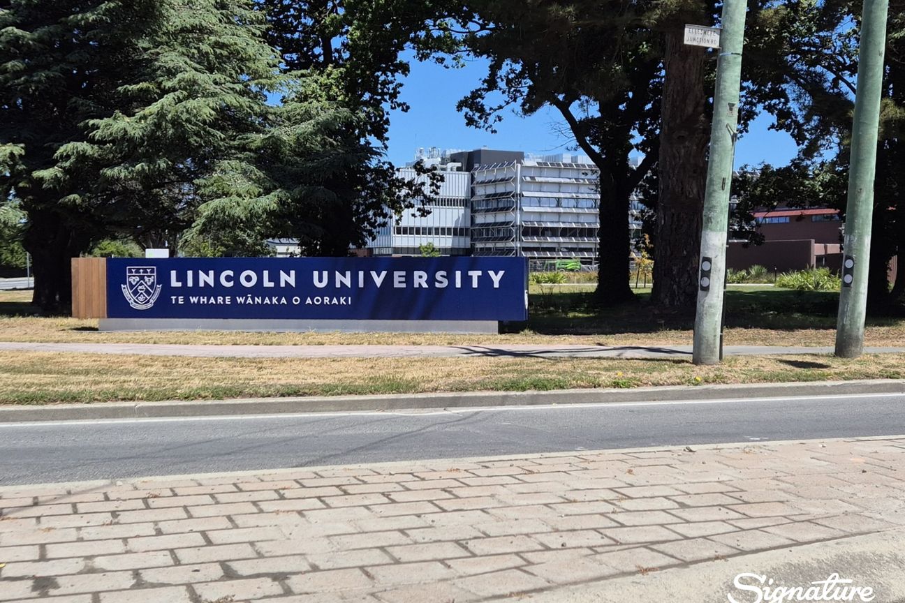 Where family memories are made in Lincoln - Ansicht 2