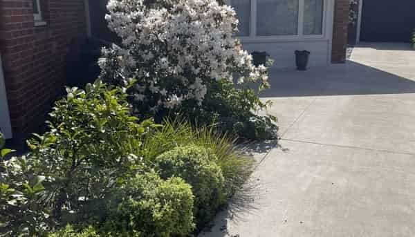 A/188 Clyde Road, Burnside