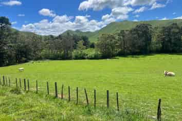 Lot 1, 9 Tamaki East Road, Dannevirke