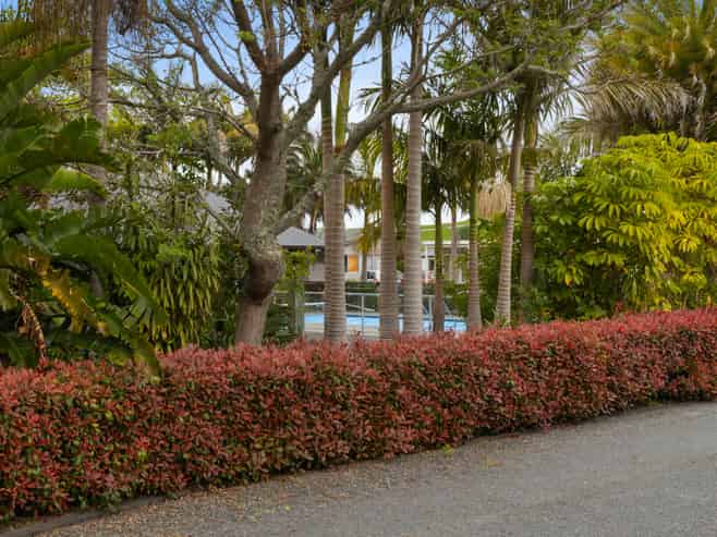 C7/71 Moir Street, Mangawhai