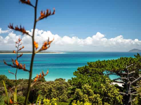 6 Gillies Road, Karikari Peninsula