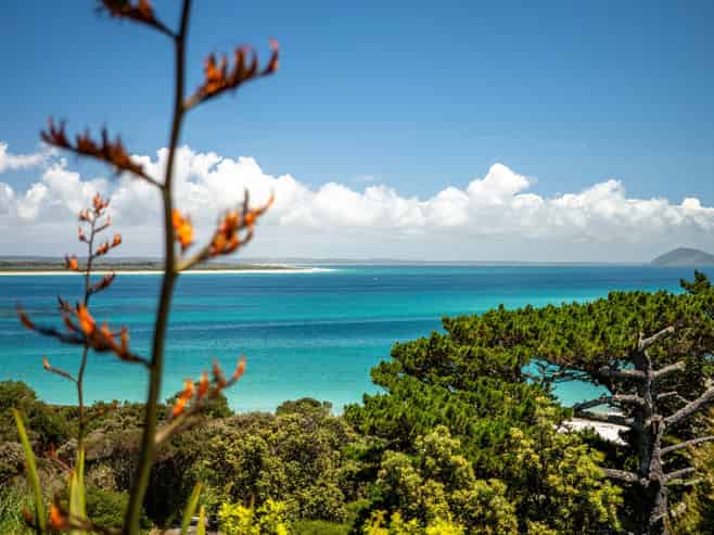 6 Gillies Road, Karikari Peninsula