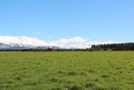 770 Hamilton Road, Fairlie, Mackenzie, Canterbury