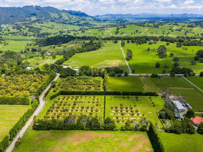 146 Bint Road, Maungakaramea