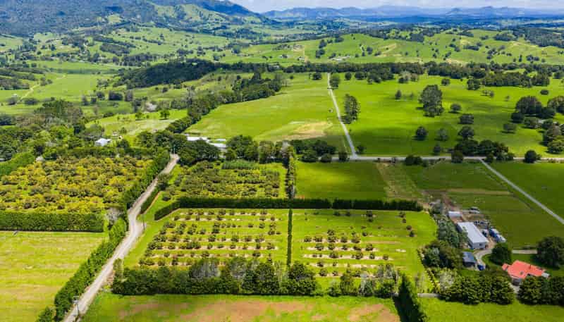 146 Bint Road, Maungakaramea