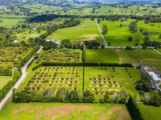 146 Bint Road, Maungakaramea