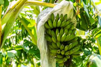 146 Bint Road, Maungakaramea