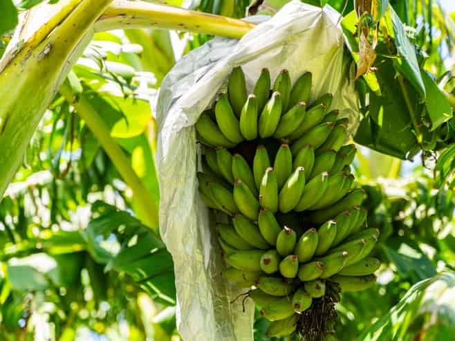 146 Bint Road, Maungakaramea