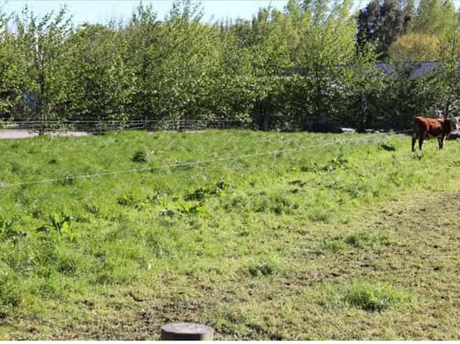 766 Gore Mataura State Highway, Mataura