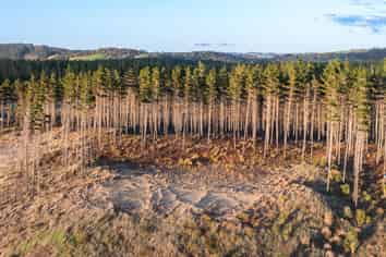 8 Te Ara Oneone, Te Arai, Te Arai