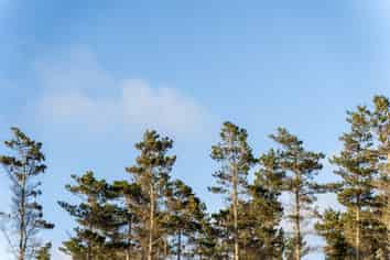 8 Te Ara Oneone, Te Arai, Te Arai