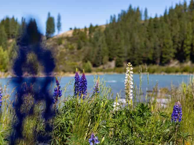 2/1857 Twizel Omarama Road, Twizel