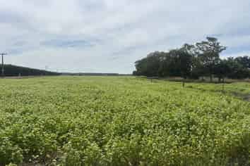  Waimate Highway, Saint Andrews